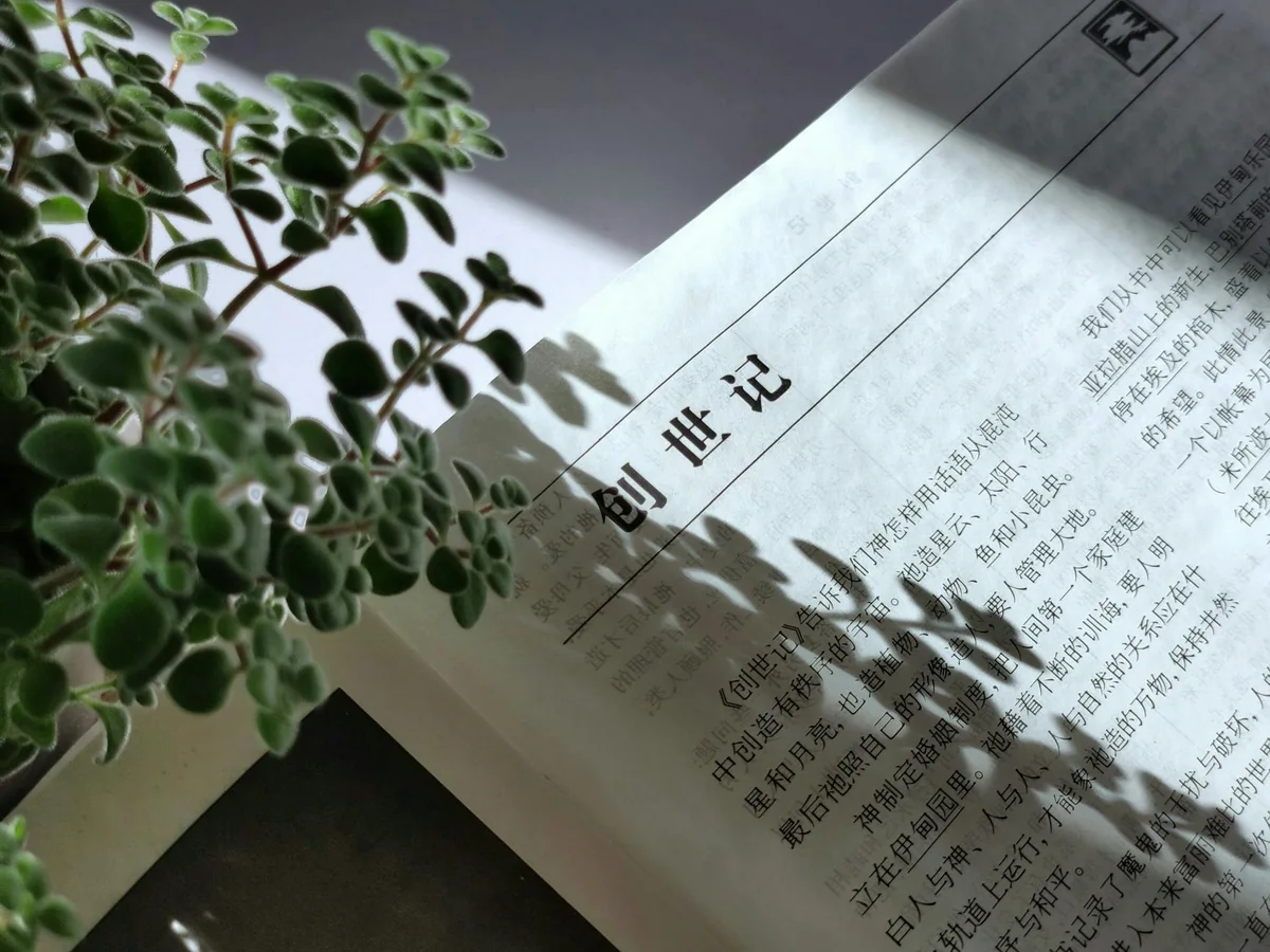 服务计划启动与交付节奏的时间节点安排示意